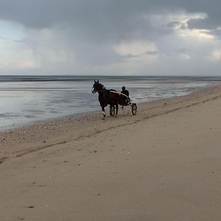 Saint-Côme-de-Fresné Gites "Bord De Mer" Pmr Ou "Arromanches" 2 Chambres En Front De Mer A Asnelles , 3Km D'Arromanches, 10Km De Bayeux מראה חיצוני תמונה
