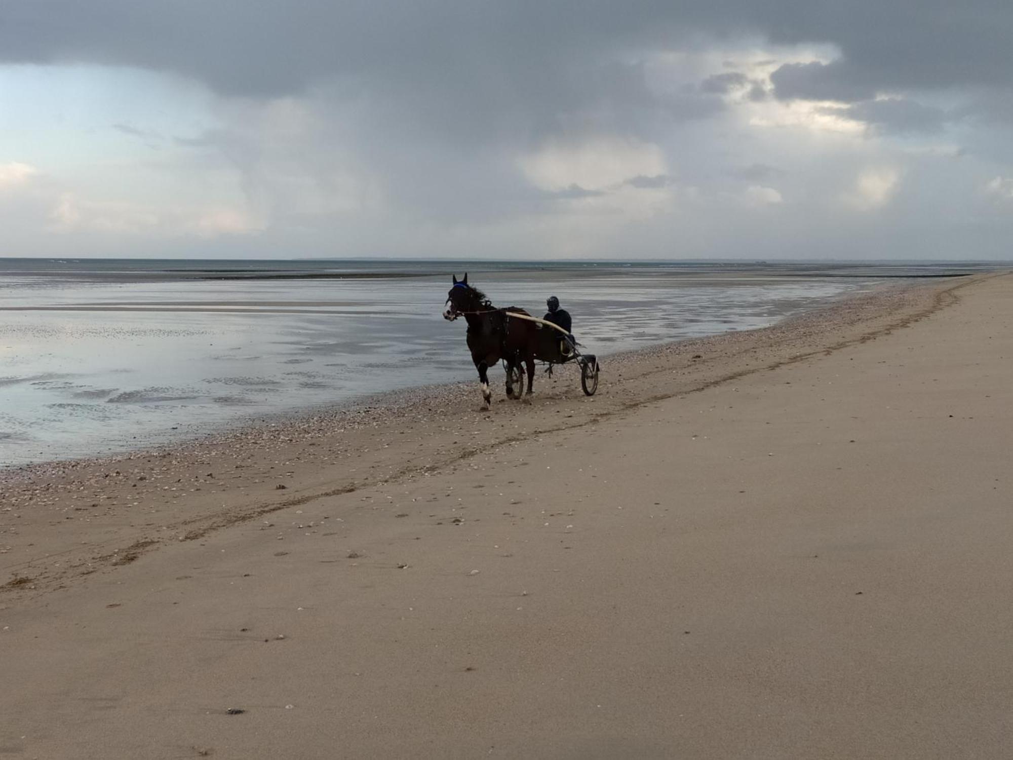 Saint-Côme-de-Fresné Gites "Bord De Mer" Pmr Ou "Arromanches" 2 Chambres En Front De Mer A Asnelles , 3Km D'Arromanches, 10Km De Bayeux מראה חיצוני תמונה